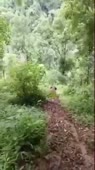 360x640
