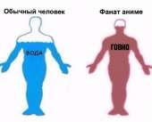 532x430
