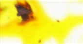 720x384