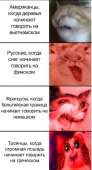 438x807