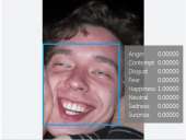447x339