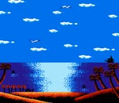 256x224
