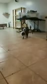 280x500