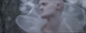 1280x496