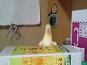 960x720