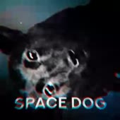 320x320