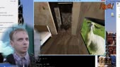 640x360