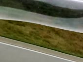 480x360