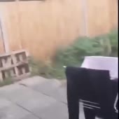 360x360