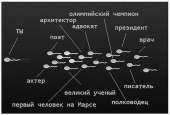 650x443