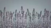 1244x700