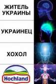 405x604