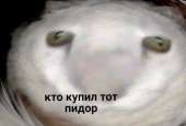 720x491