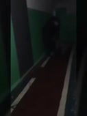 270x360