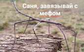 960x600