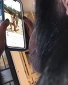 288x360