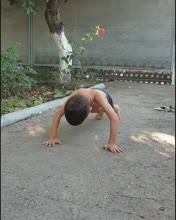 480x600