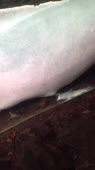 338x600