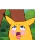 517x598