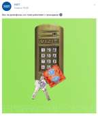 530x623