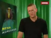 480x360