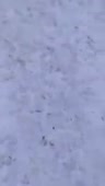 204x360