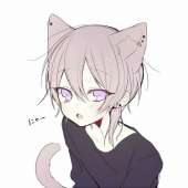 736x736