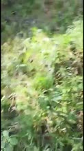 360x640