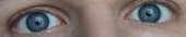 1788x368