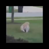 360x360