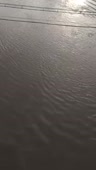 362x640