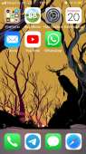 640x1136