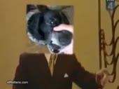 480x360