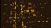 1280x720