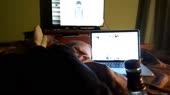 1280x720