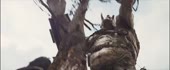640x266