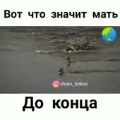 480x480