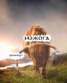 870x1076