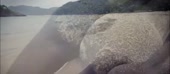 800x352