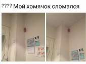 1238x928