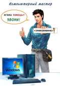 336x480