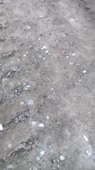 406x720