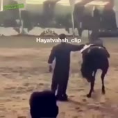 360x360