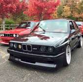 736x728