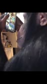 360x640