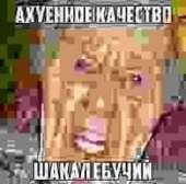 720x715