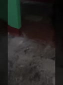270x360