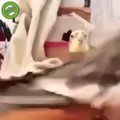360x360