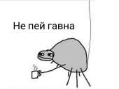 1280x971
