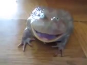 400x300
